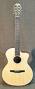 Guitares Taylor