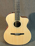Guitares Taylor