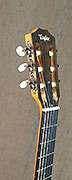 Guitares Taylor
