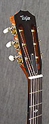 Guitares Taylor