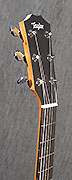Guitares Taylor