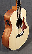 Guitares Taylor