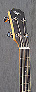 Guitares Taylor