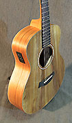 Guitares Taylor