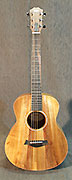 Guitares Taylor