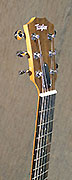 Guitares Taylor