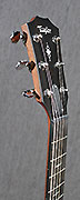 Guitares Taylor
