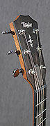 Guitares Taylor