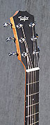 Guitares Taylor