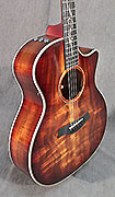 Guitares Taylor