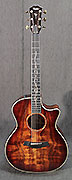 Guitares Taylor