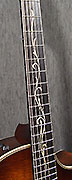 Guitares Taylor