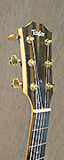 Guitares Taylor