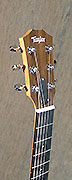 Guitares Taylor