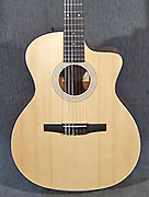 Guitares Taylor