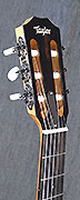 Guitares Taylor