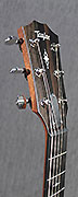 Guitares Taylor