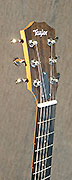 Guitares Taylor