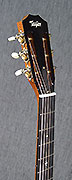 Guitares Taylor