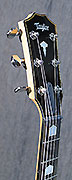 Guitares Taylor