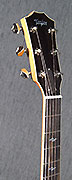 Guitares Taylor