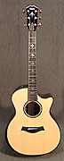 Guitares Taylor