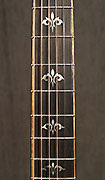 Guitares Taylor