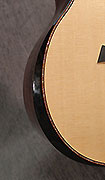 Guitares Taylor