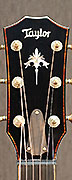 Guitares Taylor