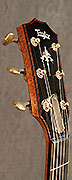 Guitares Taylor