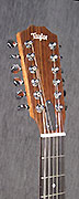 Guitares Taylor