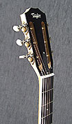 Guitares Taylor