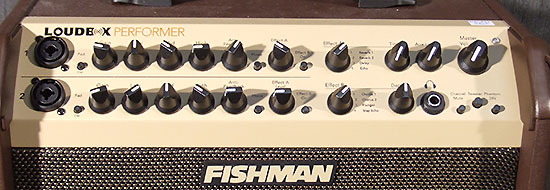 Fishman Loudox Performer