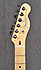 Fender Telecaster American Pro RW