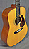 Martin Americana's Guitar Guitar 175th anniversary 170 of 175