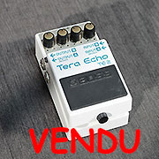 Boss Tera Echo TE-2 D13899 Boss Tera Echo TE-2