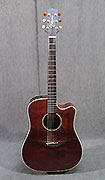 Takamine EN 10-C D14204 Takamine EN 10-C