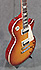 Gibson Les Paul Standard Micros Slash APH