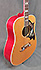 Gibson Dove Commemorative de 1994