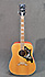 Gibson Dove 1960 Ltd