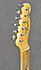 Fender Custom Shop 67 Telecaster Paisley Relic