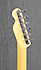 Fender Telecaster Thinline  Japan Reissue 69