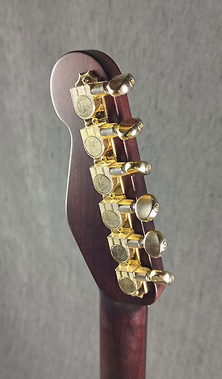 James Trussart Steelcaster Gold African