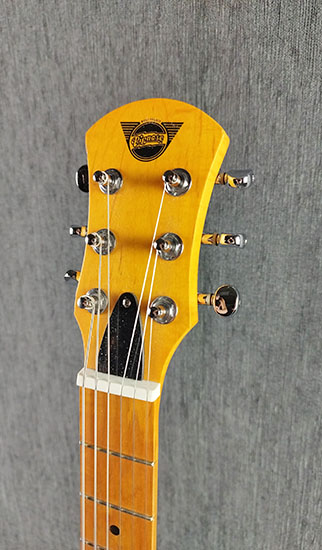 Pignose Travel Guitar