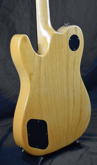 Fender Telecaster Jim Adkins