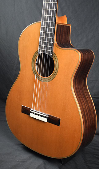 Cordoba Fusion Serie Ochestra CE