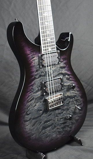 PRS SE Mark Holcomb
