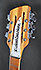 Rickenbacker Roger McGuinn Limited Edition