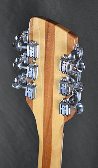 Rickenbacker Roger McGuinn Limited Edition