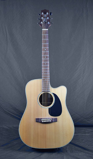 Takamine G Series EG330SC NS